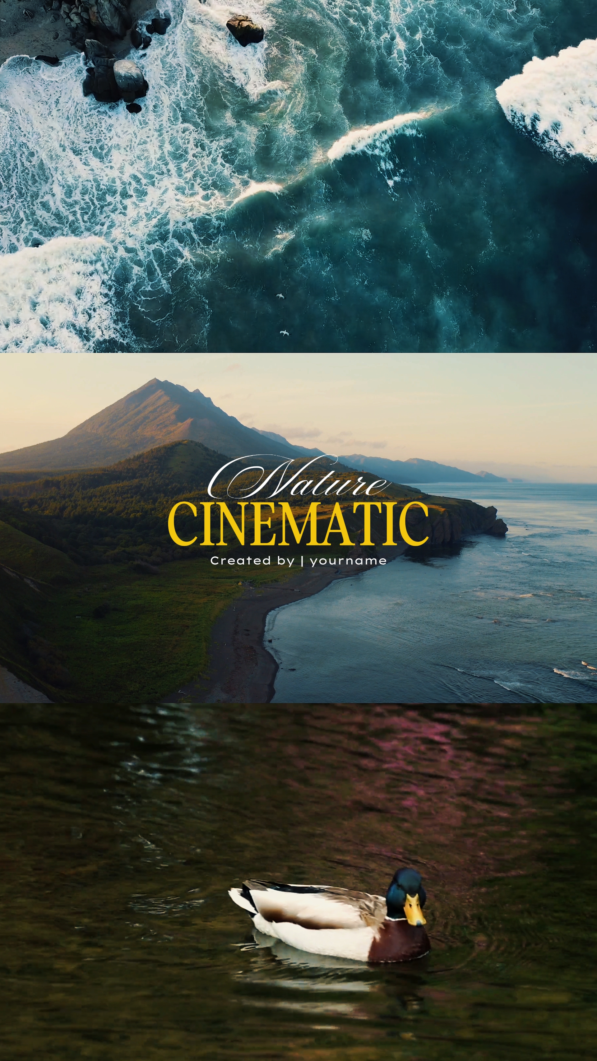 Nature Cinematic 