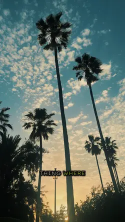 Somewhere only