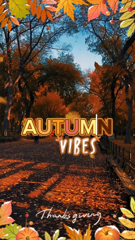 Autumn Vibes 