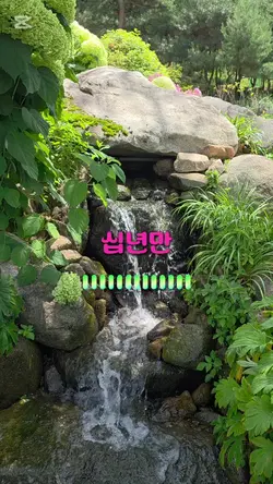 #십년만 