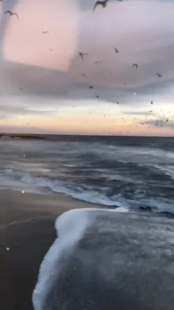 ស្រីអើយស្រីង៉ា!💫🎶🎀