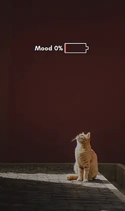 mood 0%
