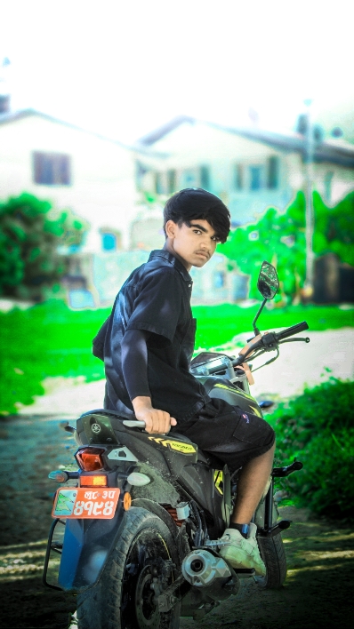 Cover Picture