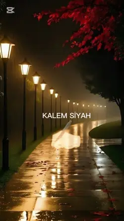 yazan kalem siyah