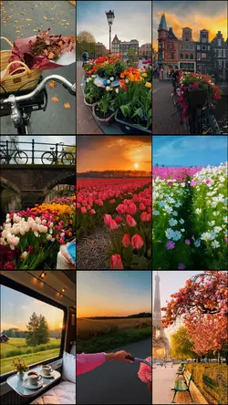 Cinematic Spring