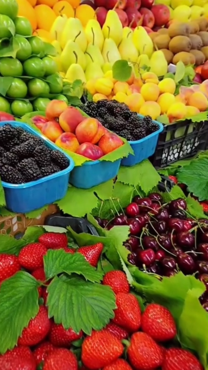 Fruits template 