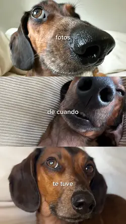 debí tirar más fotos