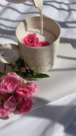mini vlog🎀