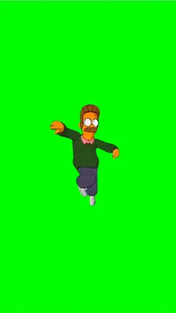 Ned flanders bands