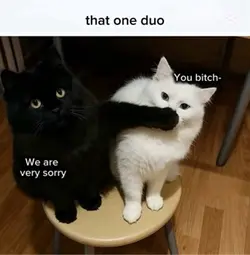 Duo
