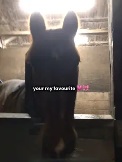 Your my favourite 😝