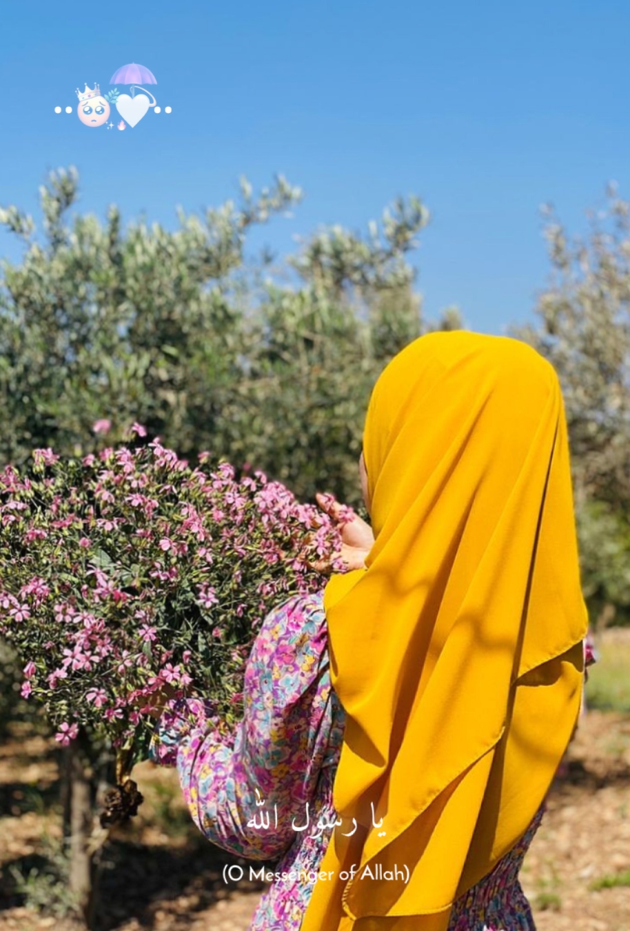 یارسول اللّٰہ