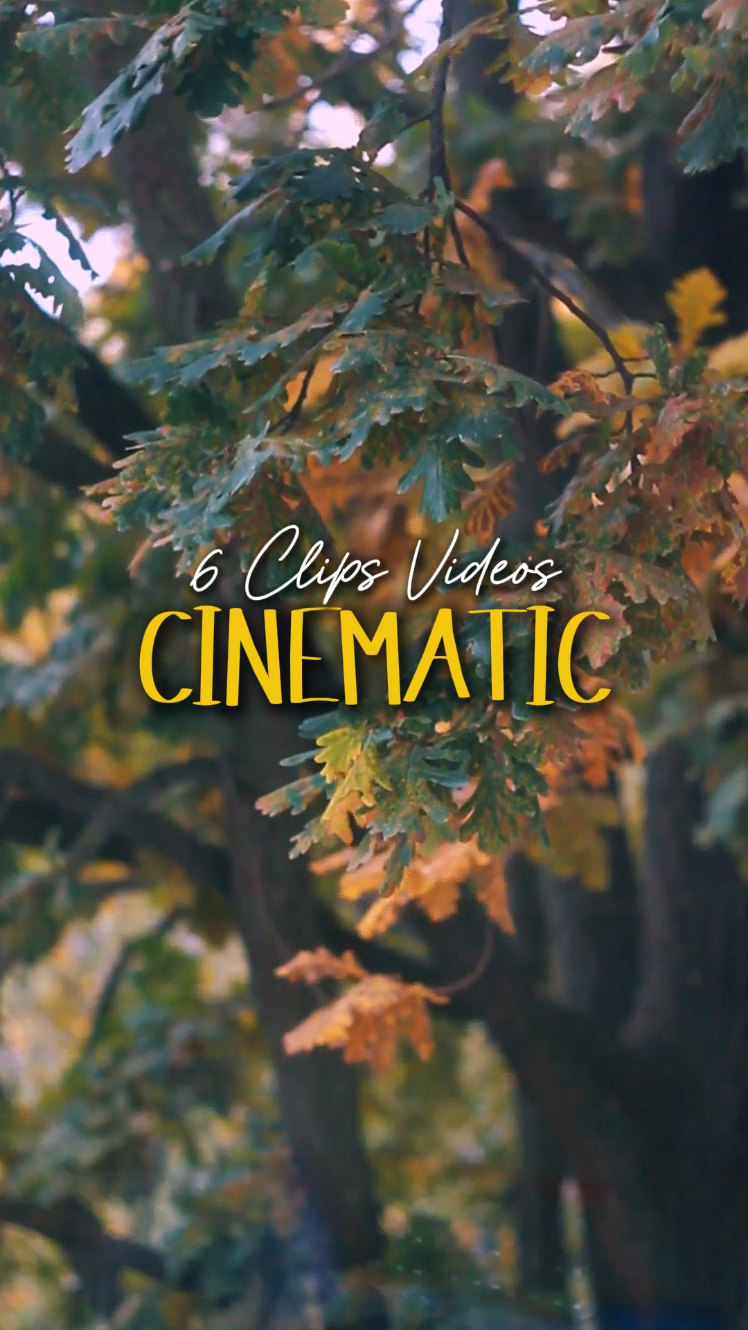 6 Videos Cinemáticos