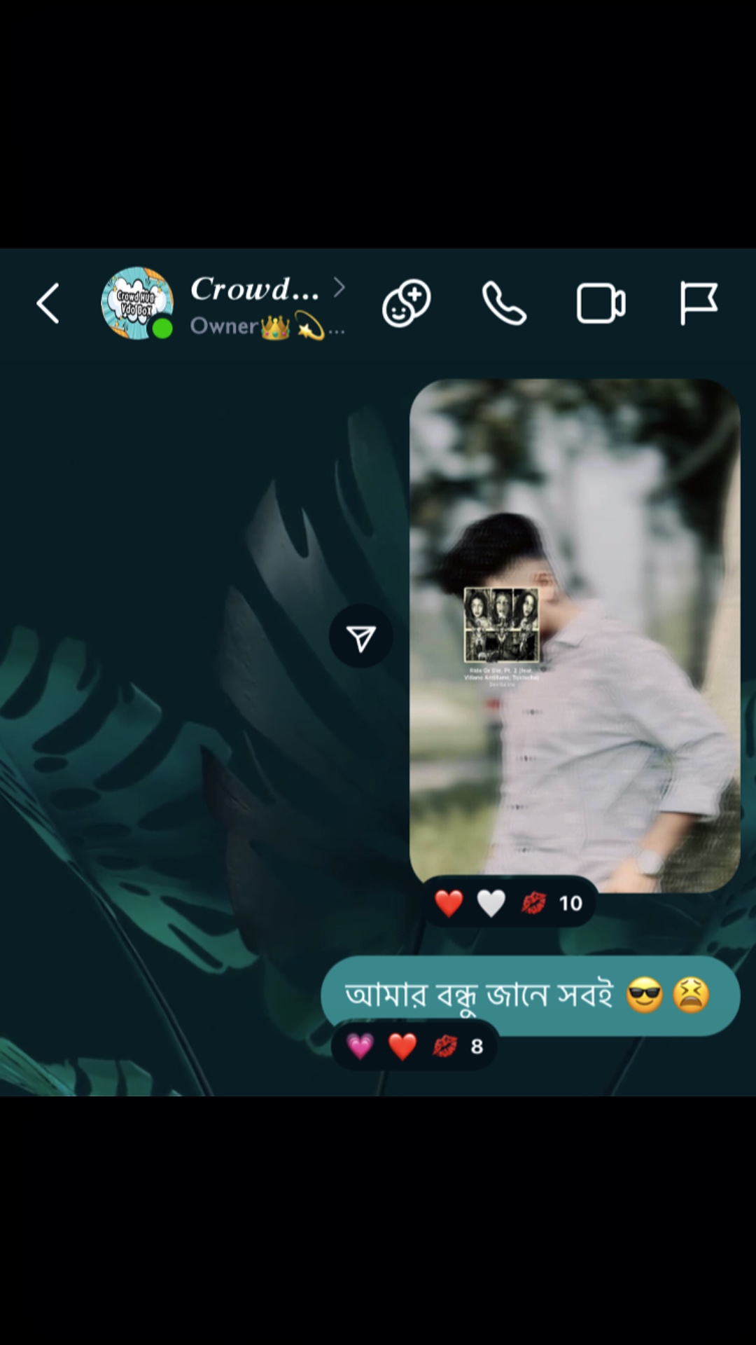 Cover Picture