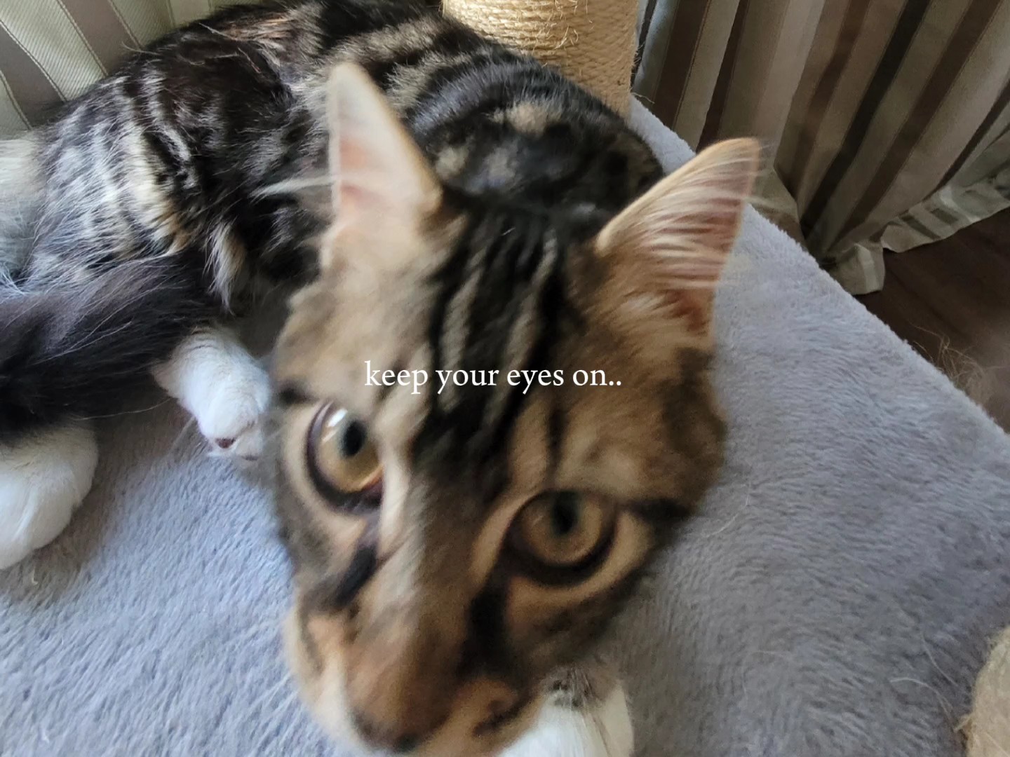 keep ur eyes on mine