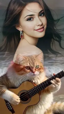 Gatinho tocando 