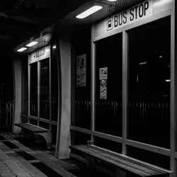 차라리 너를 미워했다면