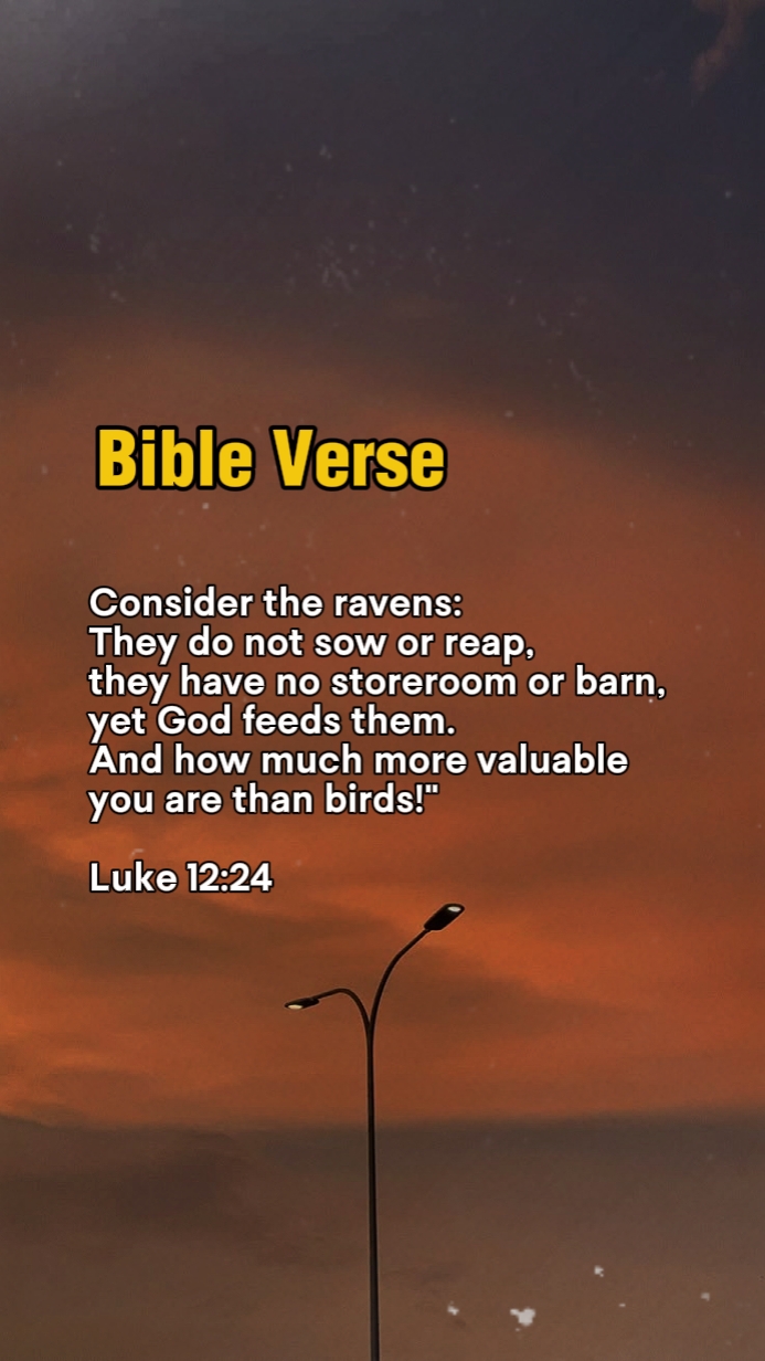 Lucas 12: 24