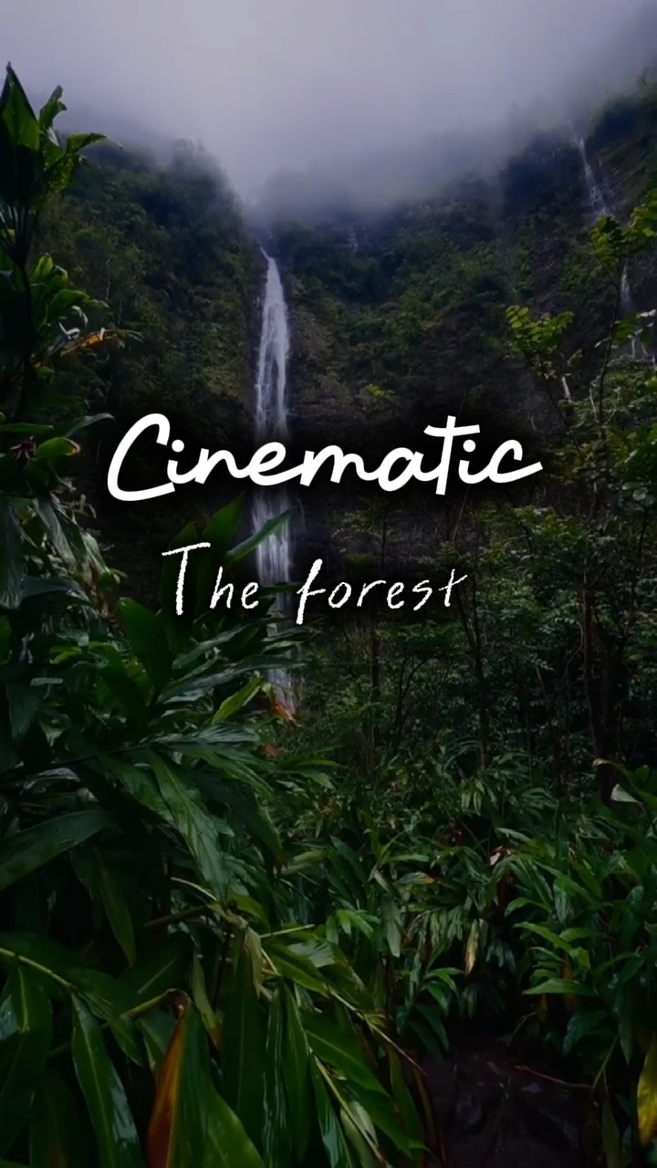 Cinematic 