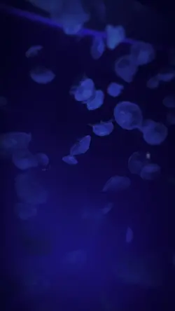 雰囲気👍🏻音出た！！！！