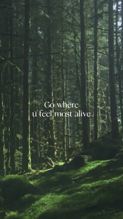 NATURE 4 VIDEOS
