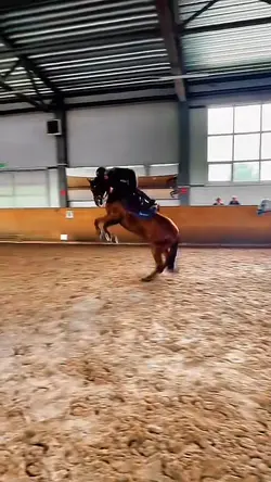 Horse fail 