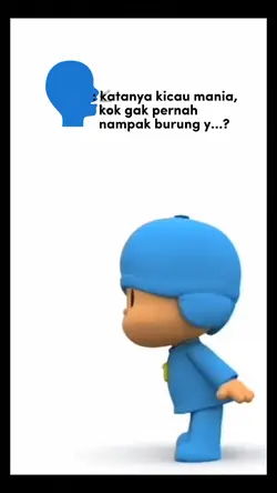 kicau mania