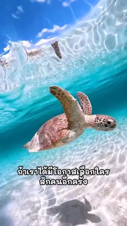 ถ้าได้มีโอกาสอีกสักครั้ง