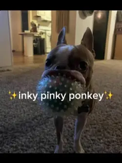 ✨inky pinky ponky✨