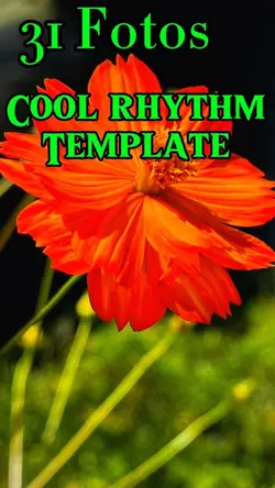 31 Fotos rhythm 