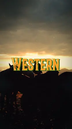 Western Vibes