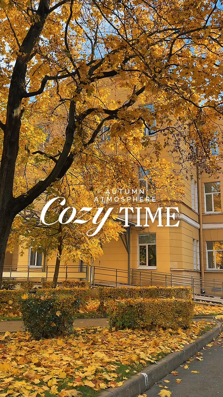 Autumn Atmosphere 