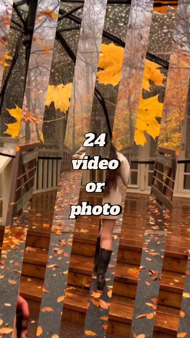 autumn season