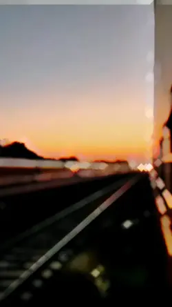 teri meri
