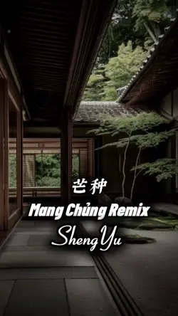 Mang Chủng Remix 