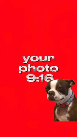 green screen meme 