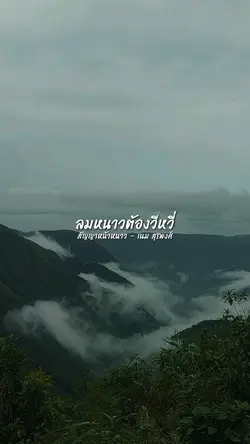 ลมเอ้ยลม 🍃