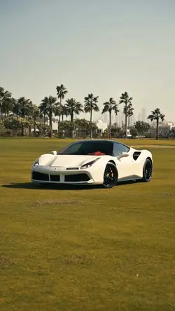 Ferrari🤍🤍💯