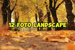 12 foto landscape