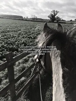 Remembrance day ❤️‍🩹