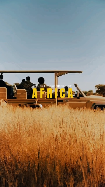 AFRICA | WILDLIFE