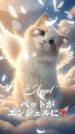 ペットがエンジェルに👼