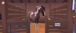 etg
