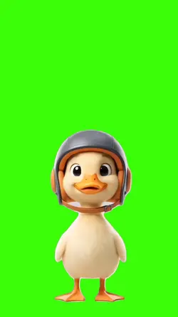 Duck/Pato.