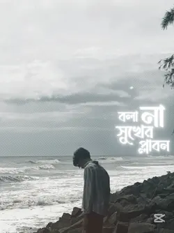 না বলা সুখের শ্রাবন 