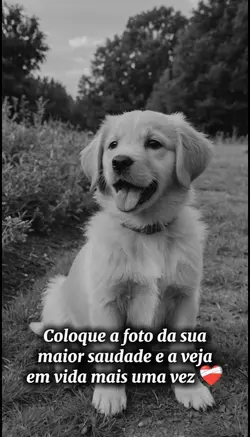 Sua maior saudade 