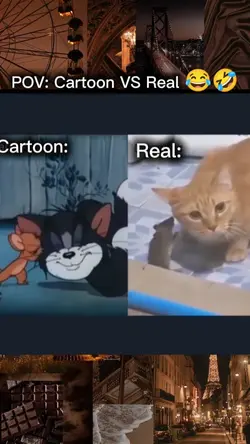 Cartoon VS Real