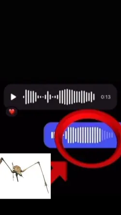 Voice message meme