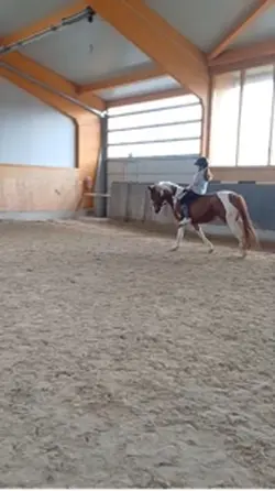 Hehe. JULE AGAIN NOT