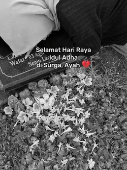 untuk ayah disurga
